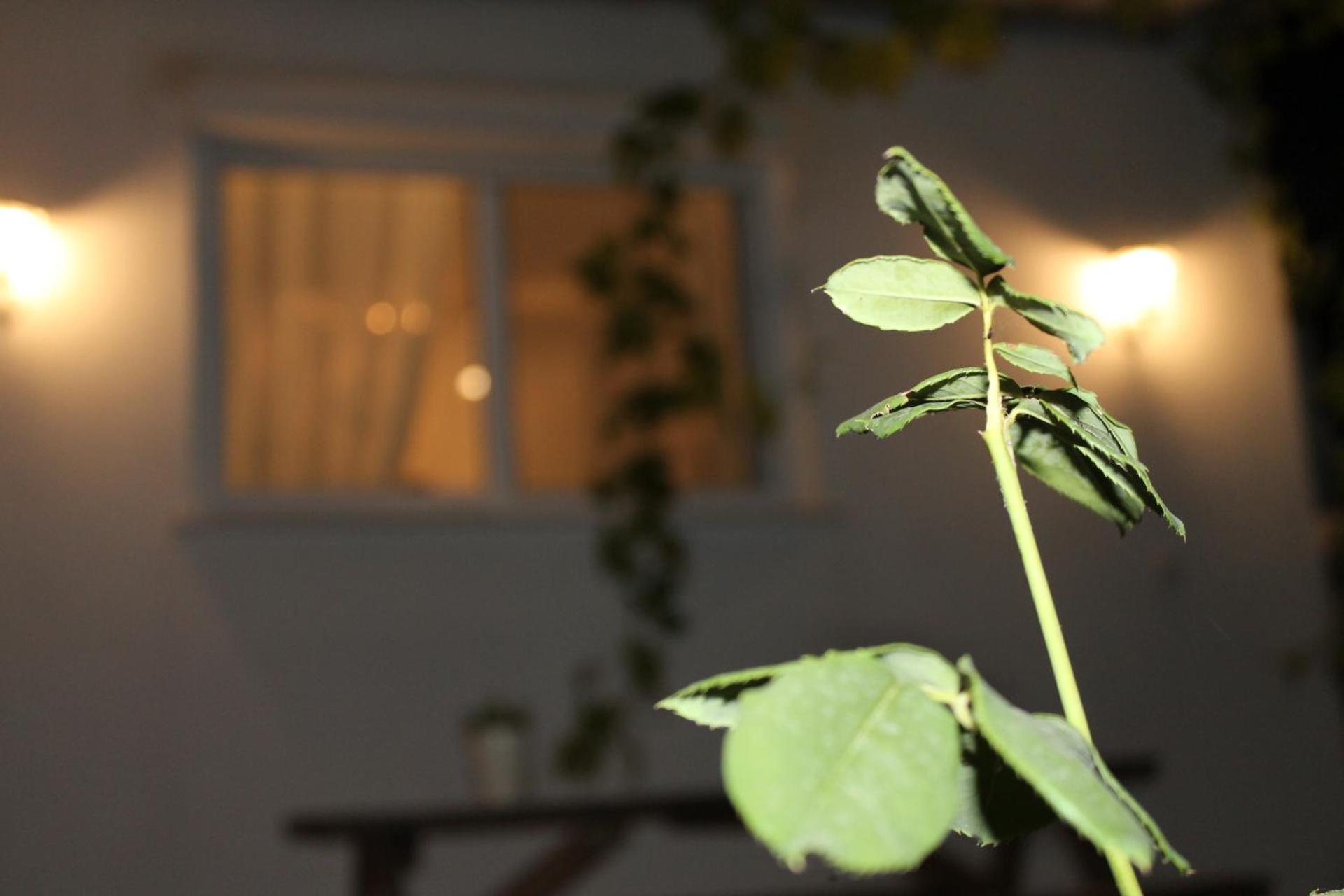 Ηώς Apartment Thassos Экстерьер фото